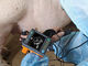 Sektor Mekanik Digital Vet Ultrasound Scanner Untuk Anjing Domba Babi Hanya Berat 620g
